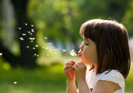 55284236 - beautiful child with dandelion flower in spring park. happy kid having fun outdoors.